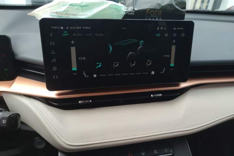 Used Haval H6 New Energy 2023 DHT-PHEV 110KM Enjoyment Edition Audio And AC Panel