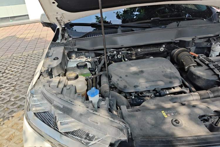 Used Haval H6 New Energy 2023 DHT-PHEV 110KM Enjoyment Edition Engine Bay Right