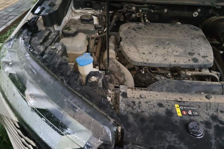 Used Haval H6 New Energy 2023 DHT-PHEV 110KM Long-Range Edition Engine Bay Right