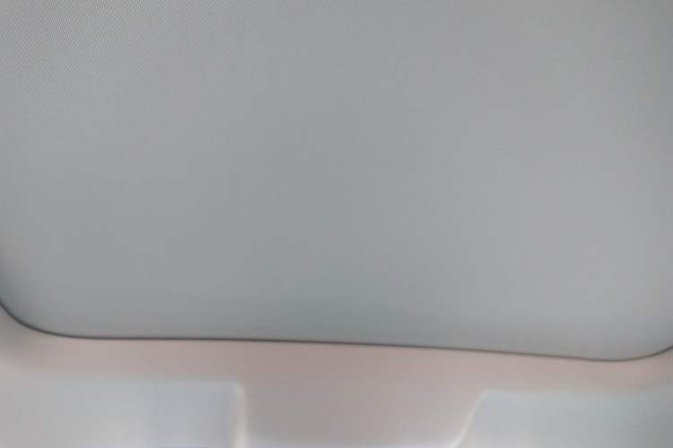 Used Haval H6 New Energy 2023 DHT-PHEV 110KM Enjoyment Edition Headliner
