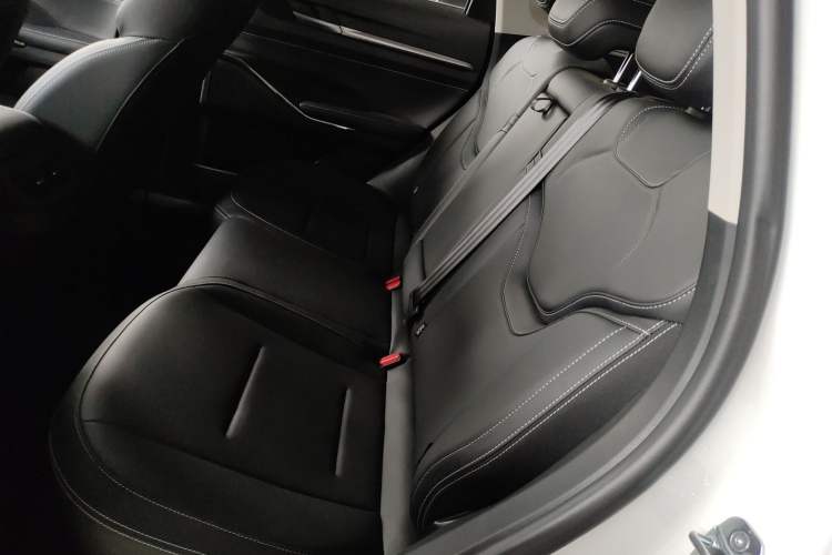Used Haval H6 New Energy 2023 DHT-PHEV 110KM Long-Range Edition Left Rear Seat