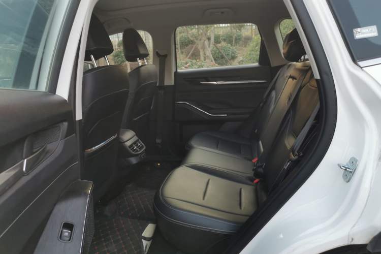 Used Haval H6 New Energy 2023 DHT-PHEV 110KM Enjoyment Edition Left Rear Seat