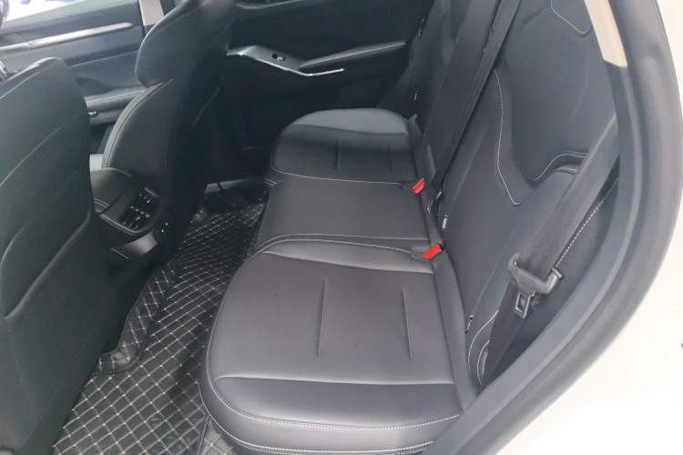 Used Haval H6 New Energy 2023 DHT-PHEV 110KM Long-Range Edition Left Rear Seat