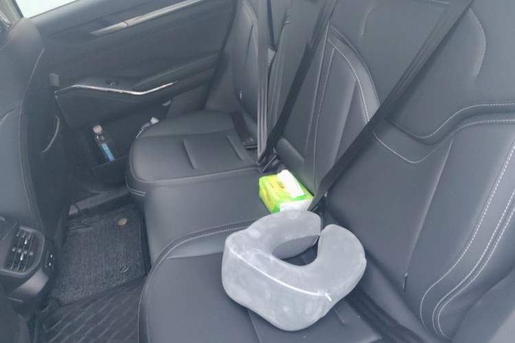 Used Haval H6 New Energy 2023 DHT-PHEV 110KM Long-Range Edition Left Rear Seat
