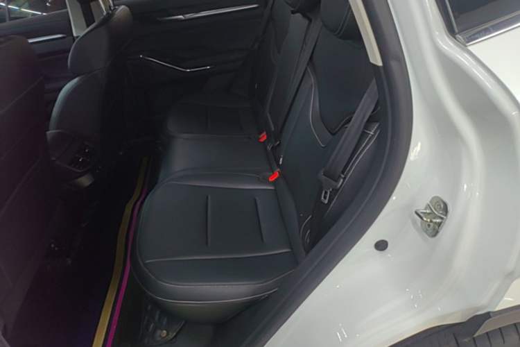 Used Haval H6 New Energy 2023 DHT-PHEV 110KM Long-Range Edition Left Rear Seat