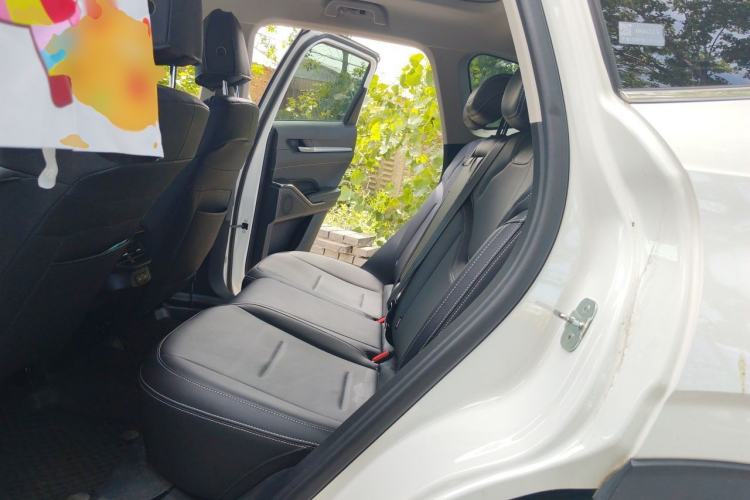 Used Haval H6 New Energy 2023 DHT-PHEV 110KM Long-Range Edition Left Rear Seat
