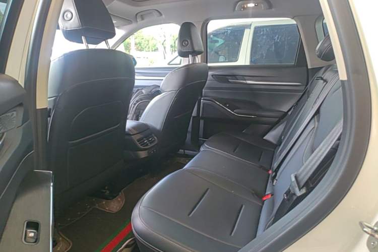 Used Haval H6 New Energy 2023 DHT-PHEV 110KM Enjoyment Edition Left Rear Seat
