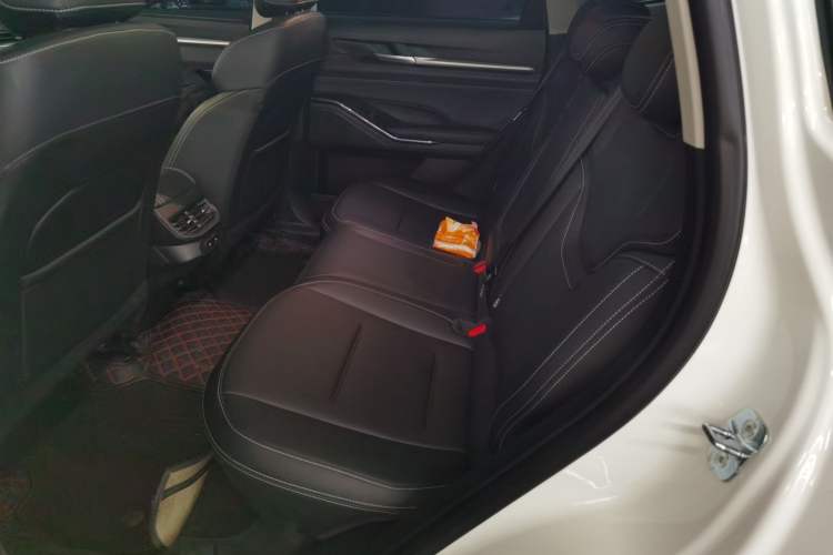 Used Haval H6 New Energy 2023 DHT-PHEV 55KM Enjoyment Edition Left Rear Seat