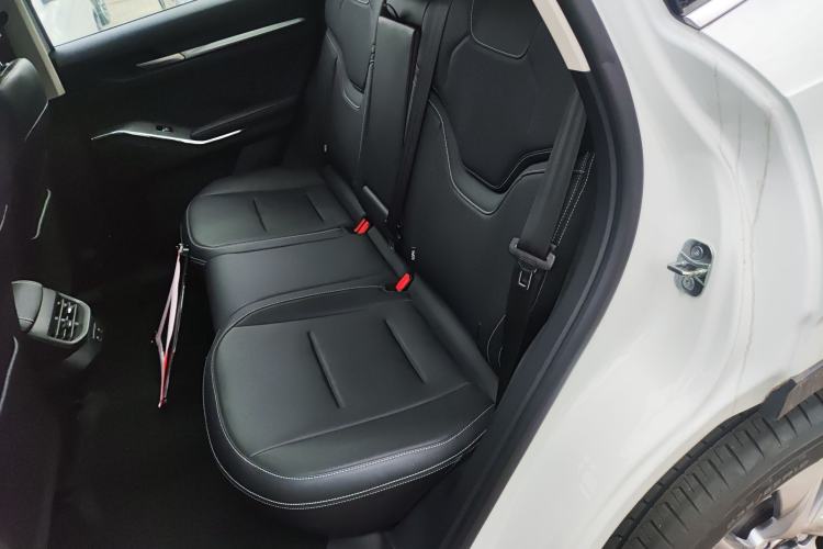 Used Haval H6 New Energy 2023 DHT-PHEV 110KM Long-Range Edition Left Rear Seat