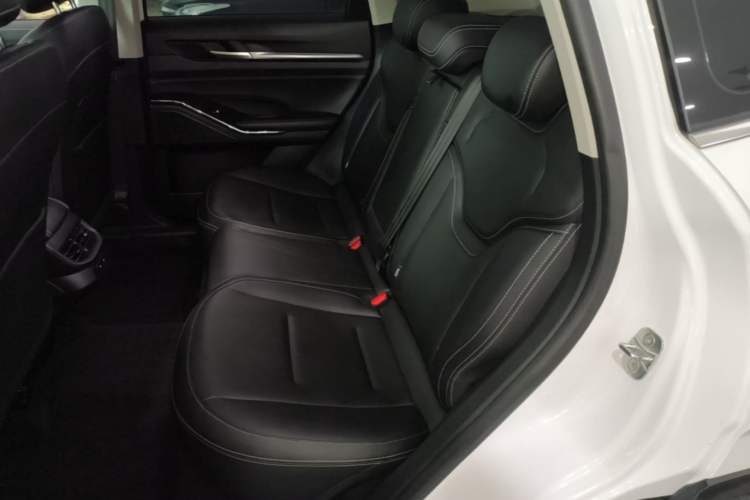 Used Haval H6 New Energy 2023 DHT-PHEV 110KM Enjoyment Edition Left Rear Seat