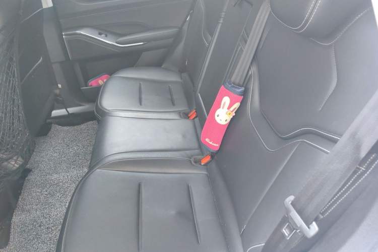 Used Haval H6 New Energy 2023 DHT-PHEV 110KM Enjoyment Edition Left Rear Seat