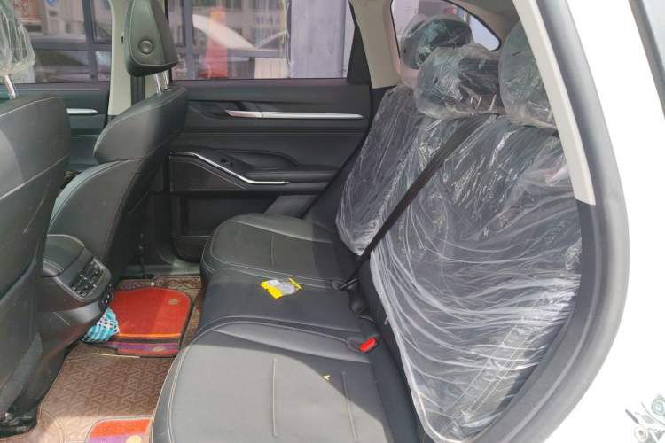 Used Haval H6 New Energy 2023 DHT-PHEV 55KM Enjoyment Edition Left Rear Seat