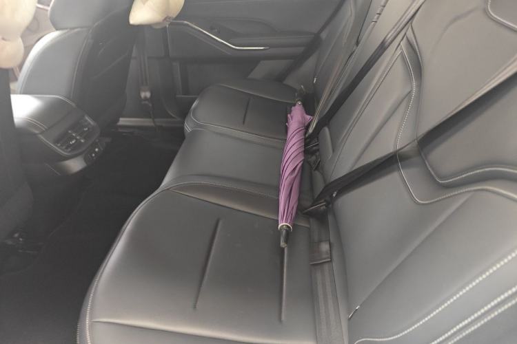 Used Haval H6 New Energy 2023 DHT-PHEV 110KM Enjoyment Edition Left Rear Seat