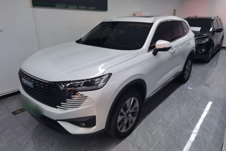 Used Haval H6 New Energy 2023 DHT-PHEV 110KM Enjoyment Edition Left Side