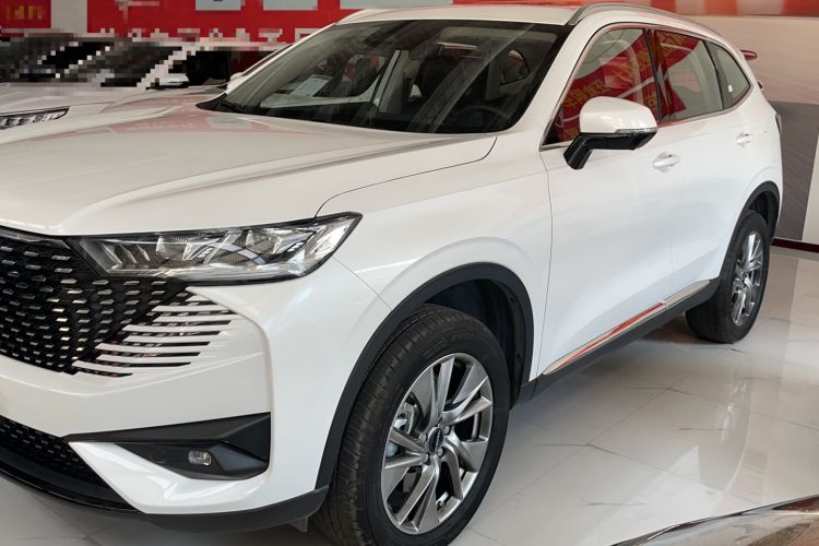 Used Haval H6 New Energy 2023 DHT-PHEV 110KM Enjoyment Edition Left Side
