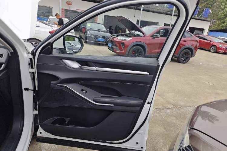 Used Haval H6 New Energy 2023 DHT-PHEV 110KM Long-Range Edition Right Front Door Interior