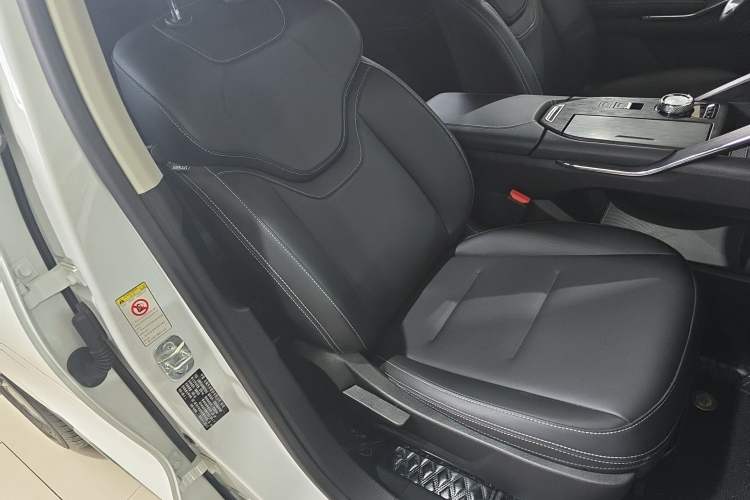 Used Haval H6 New Energy 2023 DHT-PHEV 110KM Long-Range Edition Right Front Seat