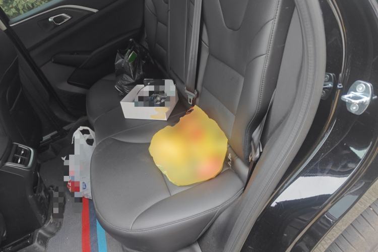 Used Haval H6L 2026 Model 1.5T Max Left Rear Seat