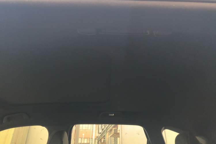 Used Haval H6S 2022 2.0T Two-Wheel Drive ZhiRun Version Headliner