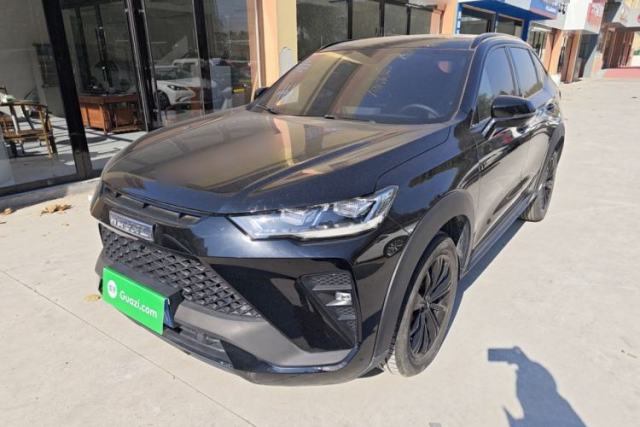 Used Haval H6S 2022 2.0T Two-Wheel Drive JoyRun Version