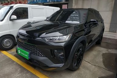 Used Haval H6S 2022 2.0T Two-Wheel Drive ZhiRun Version