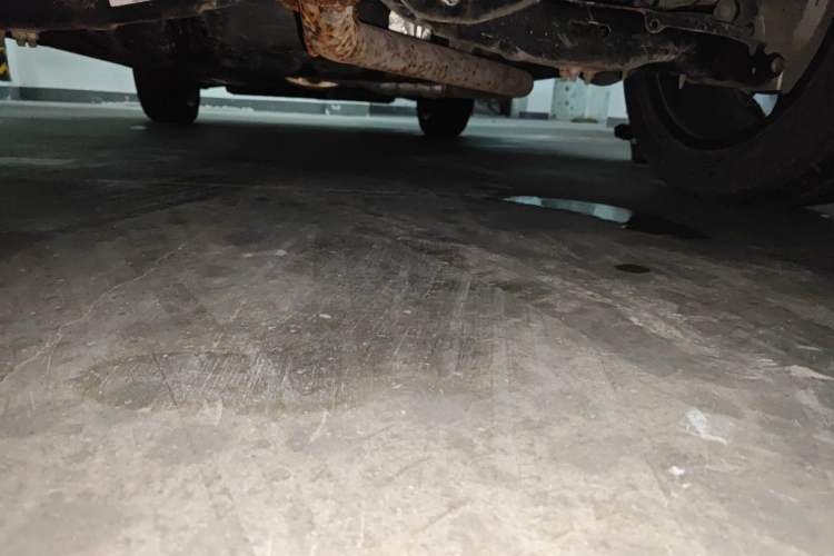Used Haval H6S 2022 2.0T Two-Wheel Drive ZhiRun Version Chassis Rear