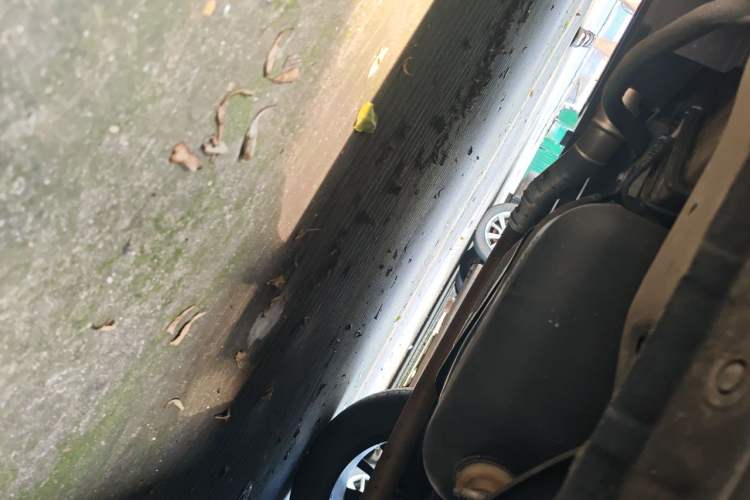 Used Haval H6S 2022 2.0T Two-Wheel Drive ZhiRun Version Chassis Rear Left