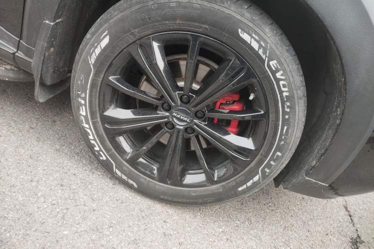 Used Haval H6S 2022 2.0T Two-Wheel Drive ZhiRun Version Exterior 7