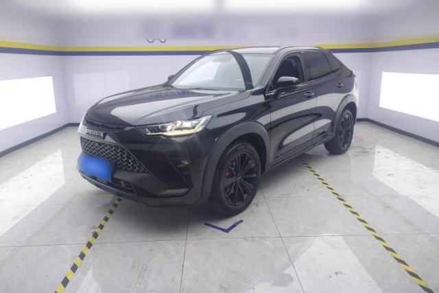 Used Haval H6S 2022 2.0T Two-Wheel Drive JoyRun Version