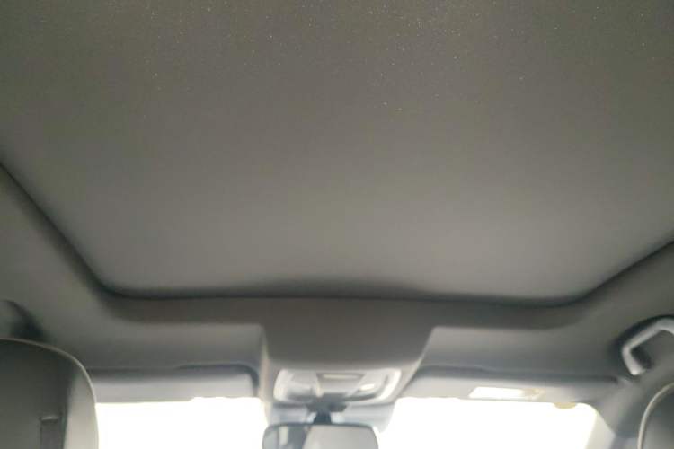 Used Haval H6S 2022 2.0T Two-Wheel Drive ZhiRun Version Headliner