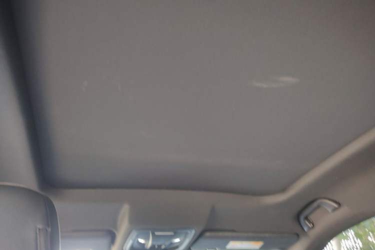 Used Haval H6S 2022 2.0T Two-Wheel Drive ZhiRun Version Headliner