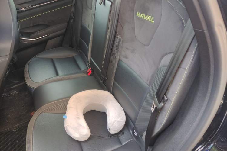 Used Haval H6S 2022 2.0T All-Wheel-Drive Trendy Sports Edition Left Rear Seat