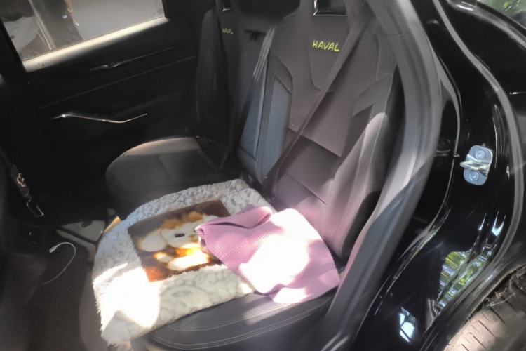 Used Haval H6S 2022 2.0T Two-Wheel Drive JoyRun Version Left Rear Seat