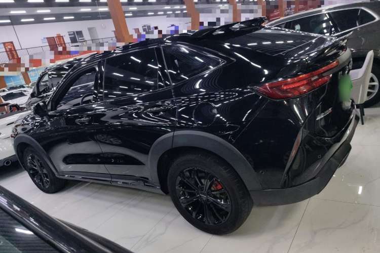Used Haval H6S 2022 2.0T All-Wheel-Drive Trendy Sports Edition Left Side