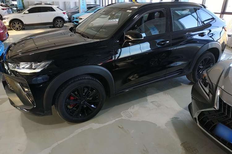 Used Haval H6S 2022 2.0T Two-Wheel Drive ZhiRun Version Left Side