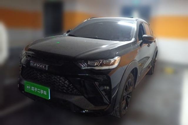 Used Haval H6S 2022 2.0T Two-Wheel Drive JoyRun Version