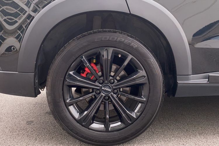 Used Haval H6S 2022 2.0T All-Wheel-Drive Trendy Sports Edition Right Rear Wheel Hub