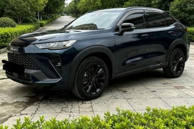 Used Haval H6S 2022 2.0T Two-Wheel Drive ZhiRun Version