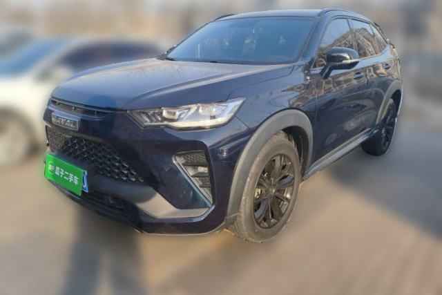 Used Haval H6S 2022 2.0T Two-Wheel Drive JoyRun Version