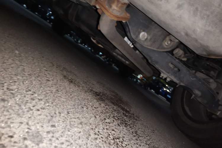 Used Haval H6S 2022 2.0T Two-Wheel Drive ZhiRun Version Chassis Rear