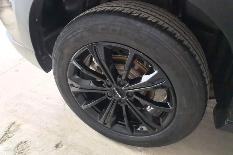Used Haval H6S 2022 2.0T Two-Wheel Drive ZhiRun Version Exterior 5