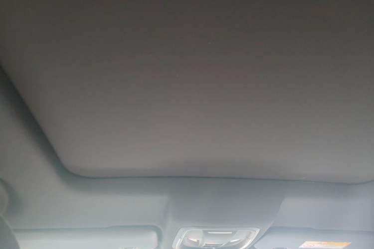 Used Haval H6S 2022 2.0T Two-Wheel Drive ZhiRun Version Headliner