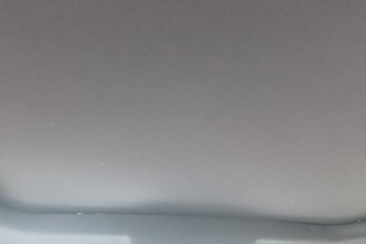 Used Haval H6S 2022 2.0T Two-Wheel Drive ZhiRun Version Headliner