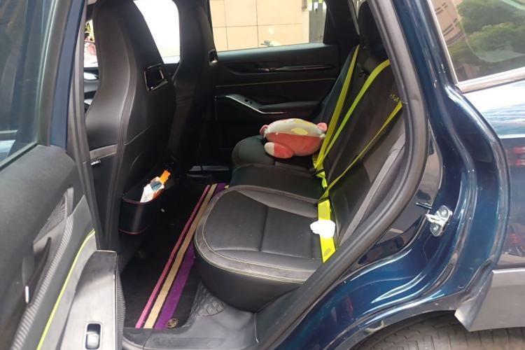 Used Haval H6S 2022 2.0T Two-Wheel Drive JoyRun Version Left Rear Seat