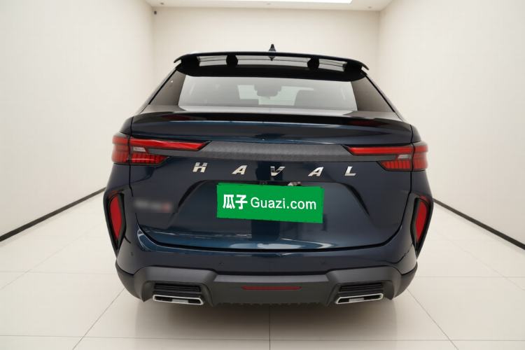 Used Haval H6S 2022 2.0T Two-Wheel Drive ZhiRun Version Rear
