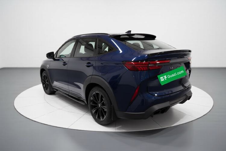 Used Haval H6S 2022 2.0T Two-Wheel Drive ZhiRun Version Rear Left 45 Deg