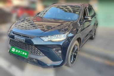 Used Haval H6S 2022 2.0T Two-Wheel Drive ZhiRun Version