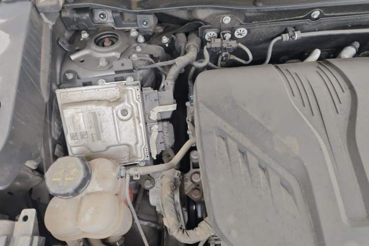 Used Haval H6S 2022 2.0T All-Wheel-Drive Trendy Sports Edition Engine Bay Right