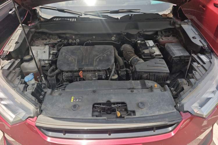 Used Haval H6S 2022 2.0T Two-Wheel Drive ZhiRun Version Engine Bay