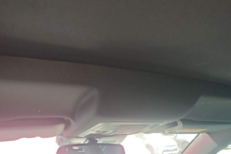 Used Haval H6S 2022 2.0T Two-Wheel Drive ZhiRun Version Headliner